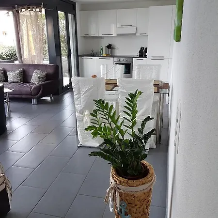 Brissago: 3.5 Zi-wohnung An Extrem Ruhiger Lage Mit Fantastischem Ausblick Brissago TI